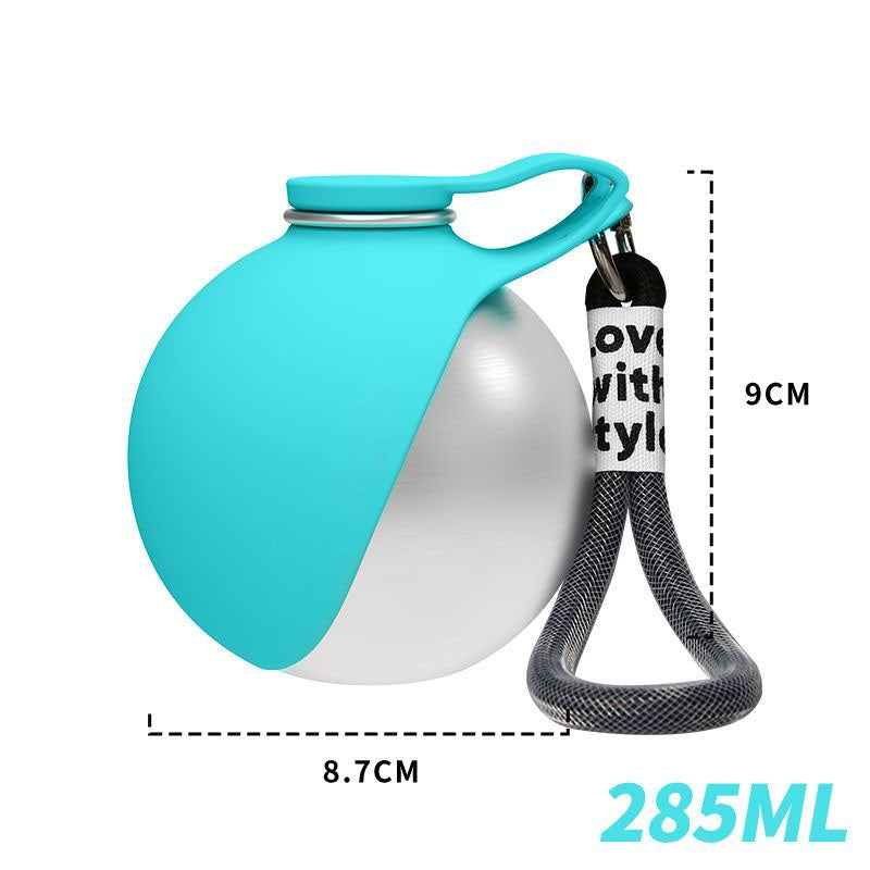 Portable Stainless Steel Water Bottle