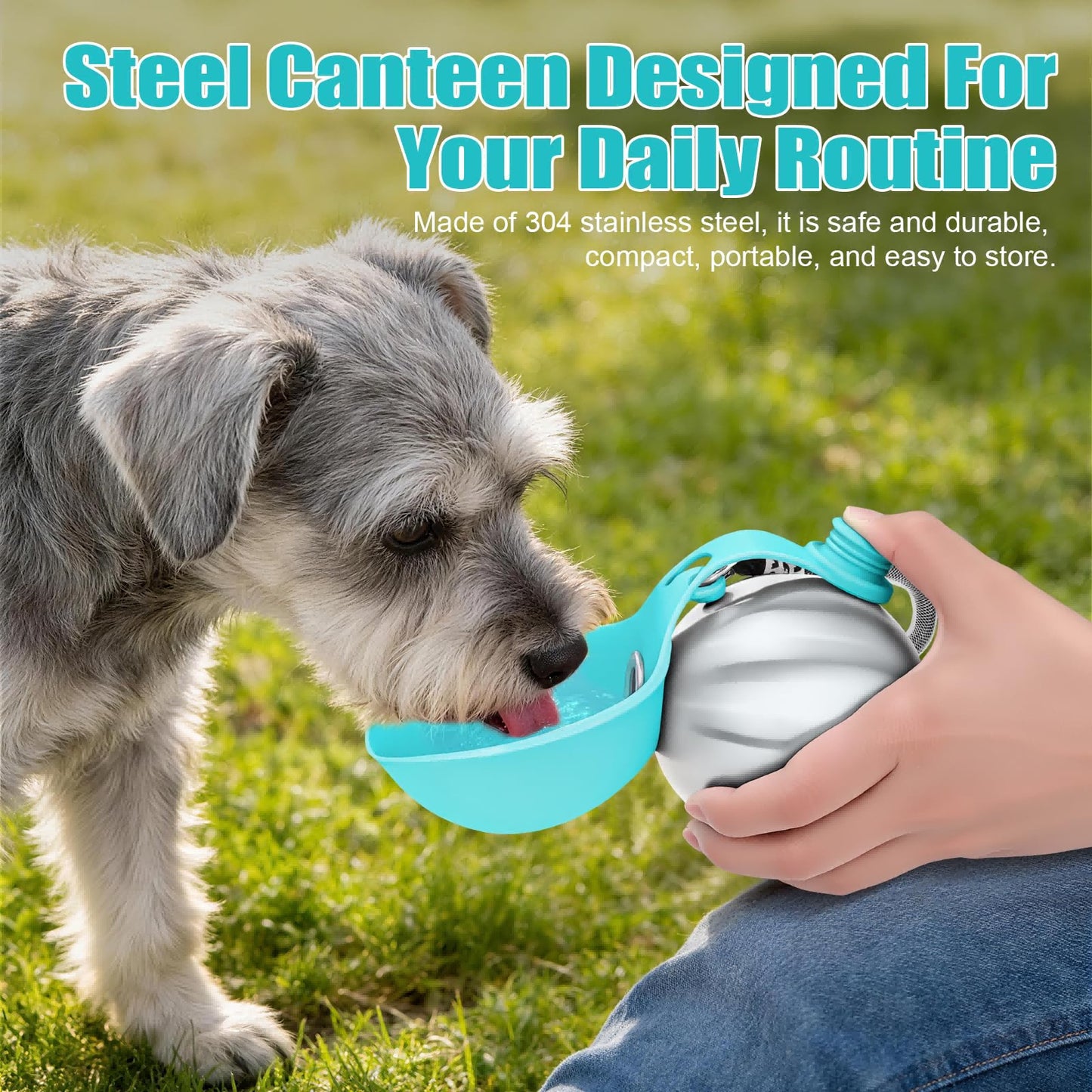 Portable Stainless Steel Water Bottle