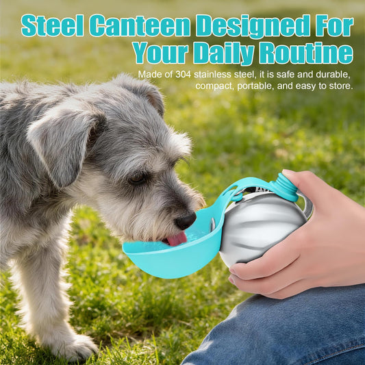 Portable Stainless Steel Water Bottle